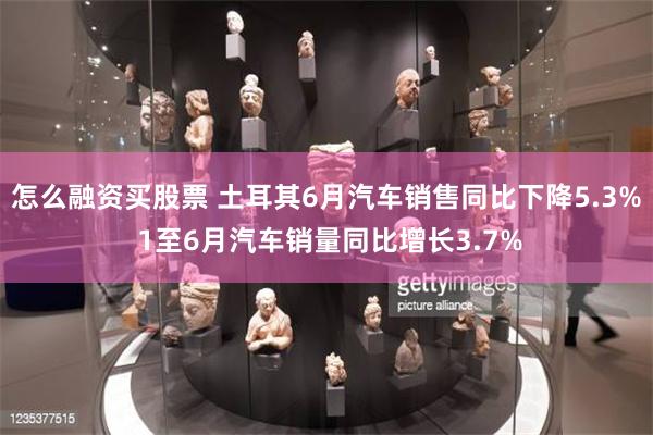 怎么融资买股票 土耳其6月汽车销售同比下降5.3% 1至6月汽车销量同比增长3.7%
