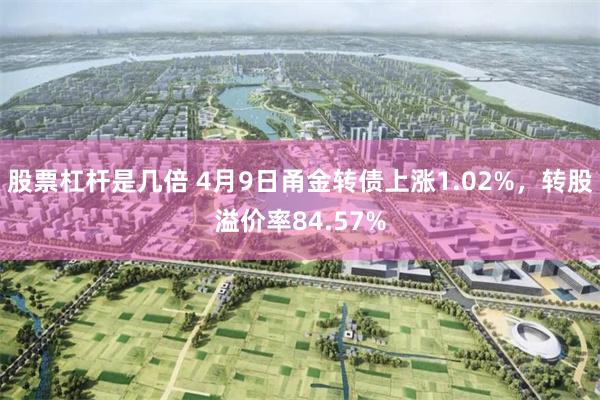 股票杠杆是几倍 4月9日甬金转债上涨1.02%，转股溢价率84.57%