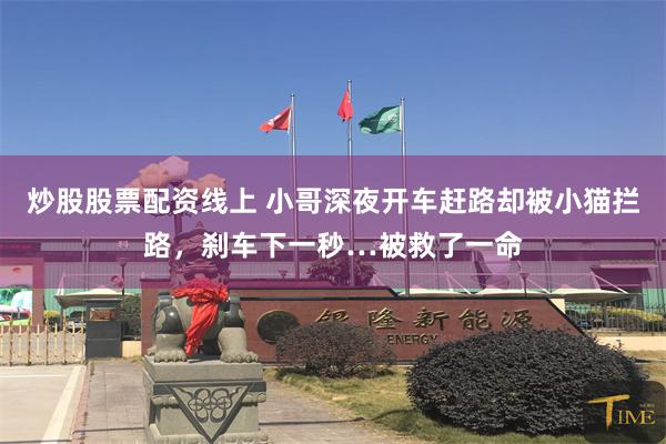 炒股股票配资线上 小哥深夜开车赶路却被小猫拦路，刹车下一秒…被救了一命