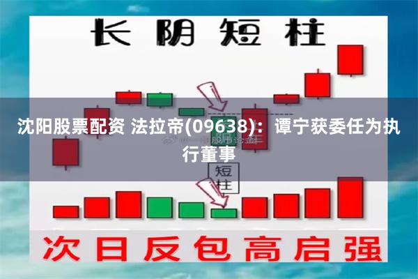 沈阳股票配资 法拉帝(09638)：谭宁获委任为执行董事
