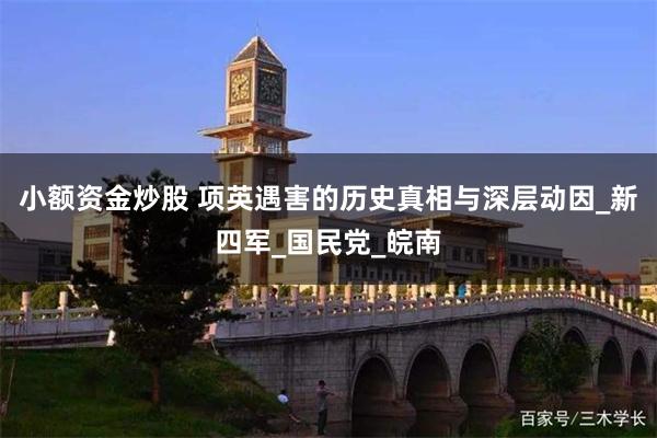小额资金炒股 项英遇害的历史真相与深层动因_新四军_国民党_皖南