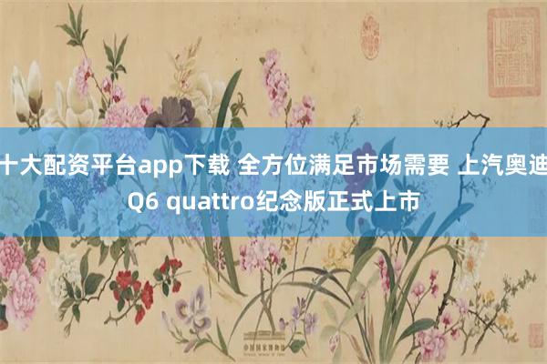 十大配资平台app下载 全方位满足市场需要 上汽奥迪Q6 quattro纪念版正式上市