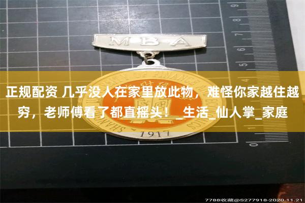 正规配资 几乎没人在家里放此物，难怪你家越住越穷，老师傅看了都直摇头！_生活_仙人掌_家庭