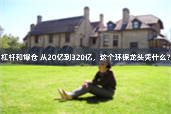 杠杆和爆仓 从20亿到320亿，这个环保龙头凭什么？