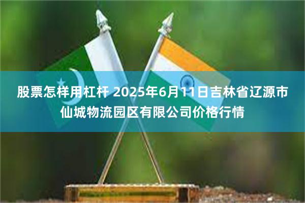 股票怎样用杠杆 2025年6月11日吉林省辽源市仙城物流园区有限公司价格行情