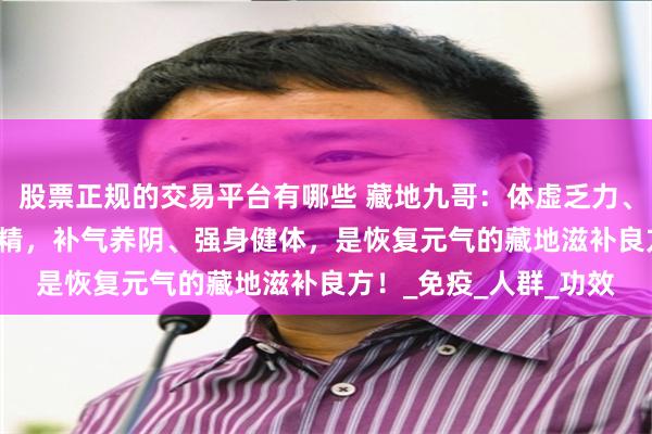 股票正规的交易平台有哪些 藏地九哥：体虚乏力、气阴两亏？虫草 + 黄精，补气养阴、强身健体，是恢复元气的藏地滋补良方！_免疫_人群_功效
