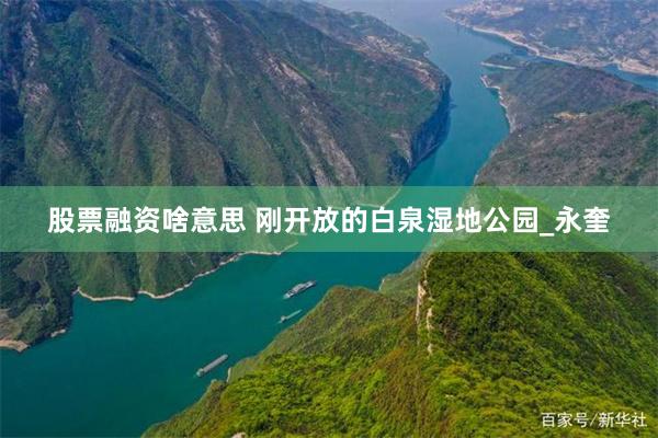 股票融资啥意思 刚开放的白泉湿地公园_永奎